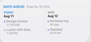 Actual InstaCal Days Ahead medium widget from the iOS WidgetKit picker