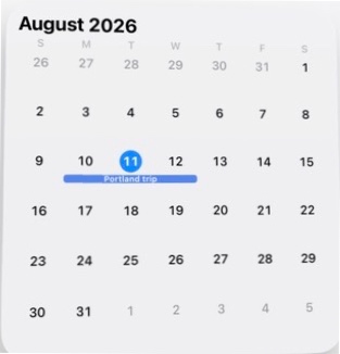 Actual InstaCal Month large widget from the iOS WidgetKit picker