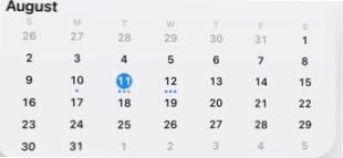 Actual InstaCal Month medium widget from the iOS WidgetKit picker