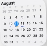 Actual InstaCal Month small widget from the iOS WidgetKit picker