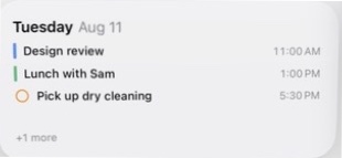 Actual InstaCal Today medium widget from the iOS WidgetKit picker