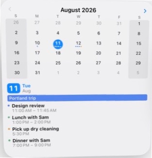 Actual InstaCal Up Next and Calendar large widget from the iOS WidgetKit picker
